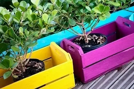 Decoração com caixotes de madeira coloridos em jardim Foto de Paola Simoni