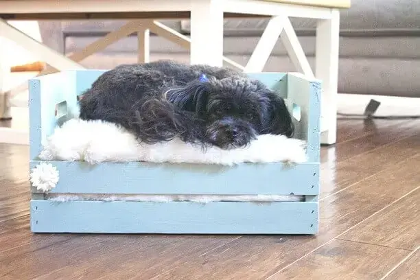 Decoração com caixotes de madeira como cama de cachorro Foto de Pinterest