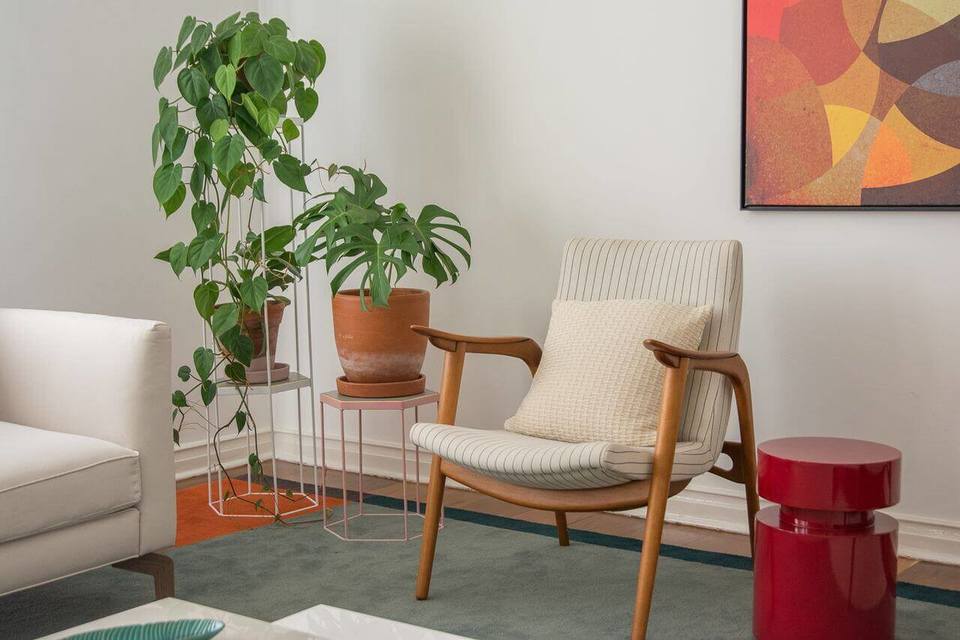 Plantas para apartamento - sala com cadeira de madeira e vasos de plantas 