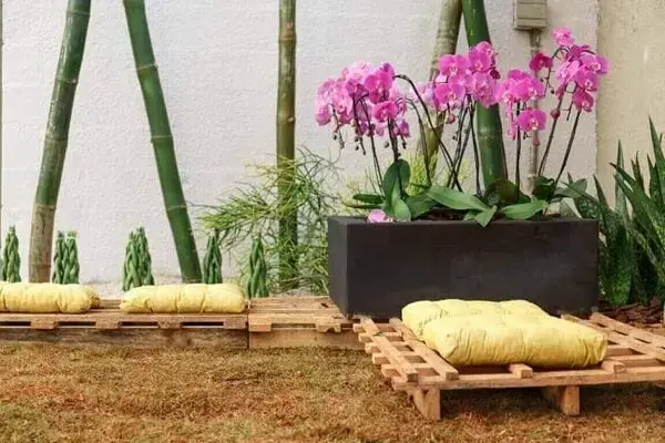 Como cuidar de orquídeas em jardim