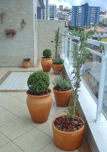 108476- jardim na varanda com vasos viva-decora