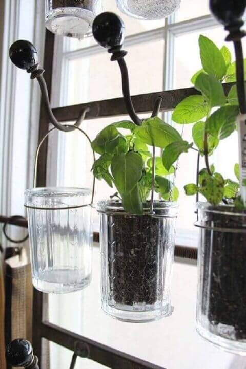 Horta vertical em copos com ganchos de ferro Foto de Garden Pleasures