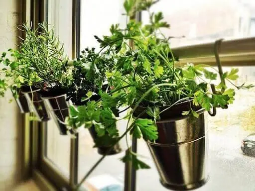 Horta vertical em vasos metálicos na janela Foto de Pinterest
