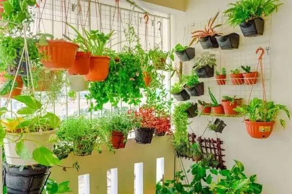 Horta vertical em várias estruturas na sacada Foto de Pinterest