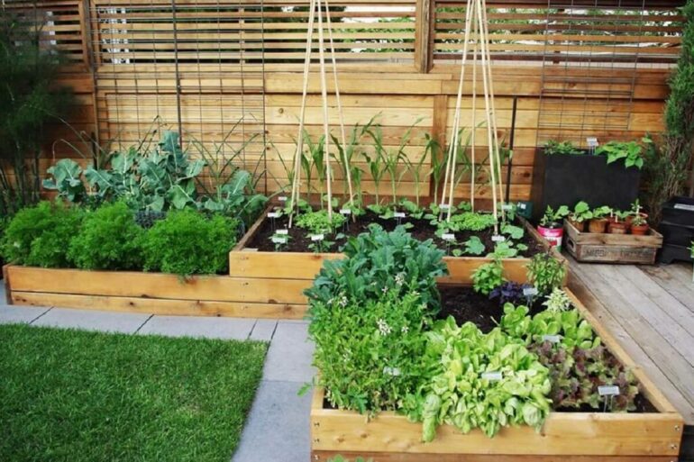 Mesmo em espaços bastante pequenos é possível cultivar uma deliciosa horta em casa. Fonte: Pinterest