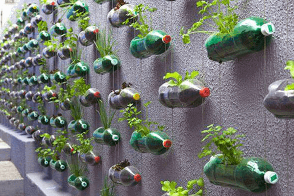 horta de parede em garrafas pet