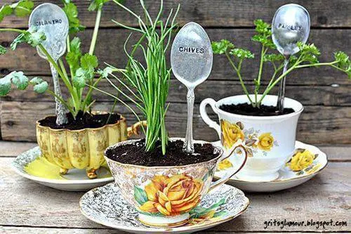 horta de plantas em xícaras
