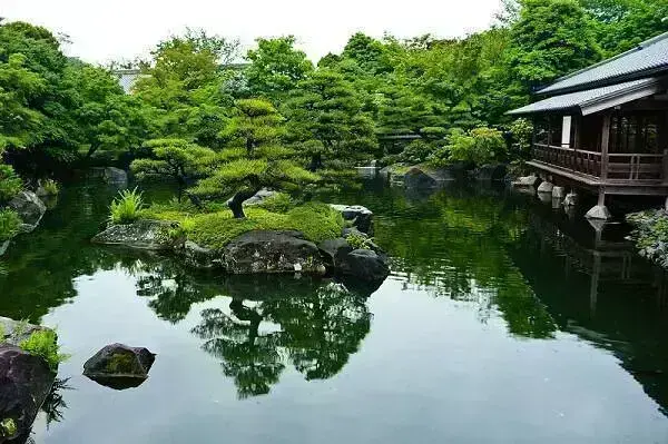 garden jardim japonês alalou