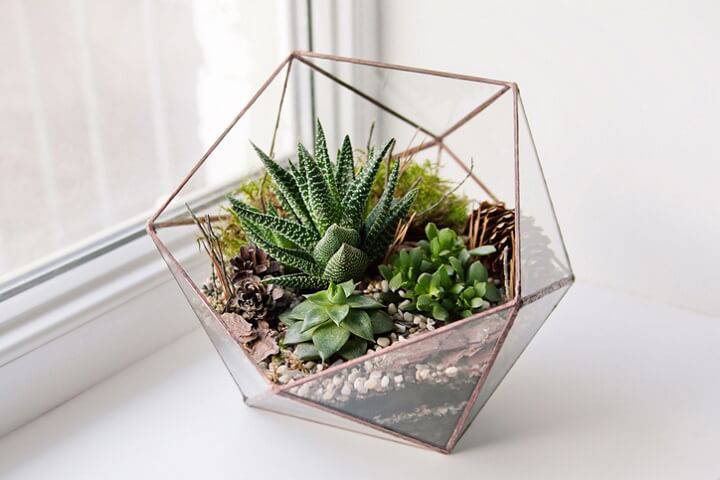 terrario em vaso de pentagonos vidro e metal