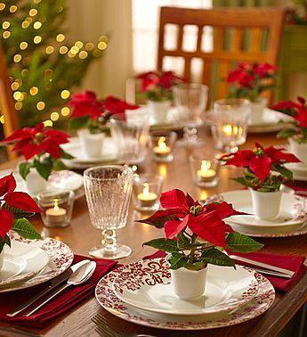 arranjos de natal para mesa com flor vermelha