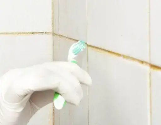 Como limpar azulejo de banheiro com água e escova de dente