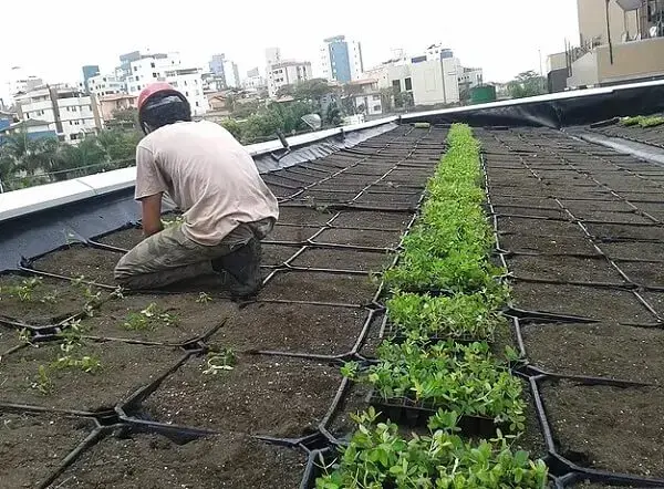 A instalação das plantas que irão compor o telhado verde devem ser feitas por um profissional