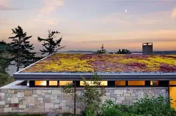 As plantas de coloração roxa e amarela se destacam no telhado