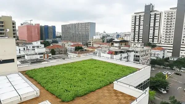 Escolha cuidadosamente as plantas que irão compor seu telhado verde