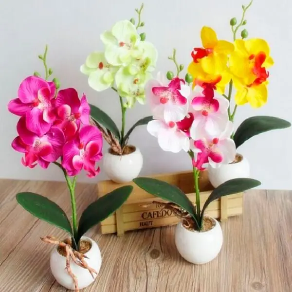 Orquídeas coloridas e artificiais decoram o ambiente