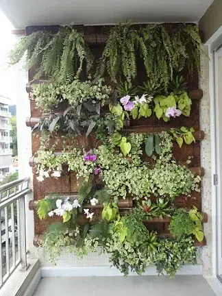 Plantas para jardim vertical Projeto de Ana Flávia Teixeira