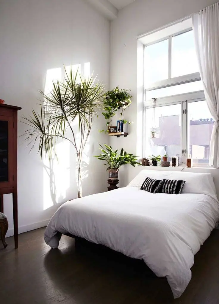 decoração minimalista no quarto com plantas