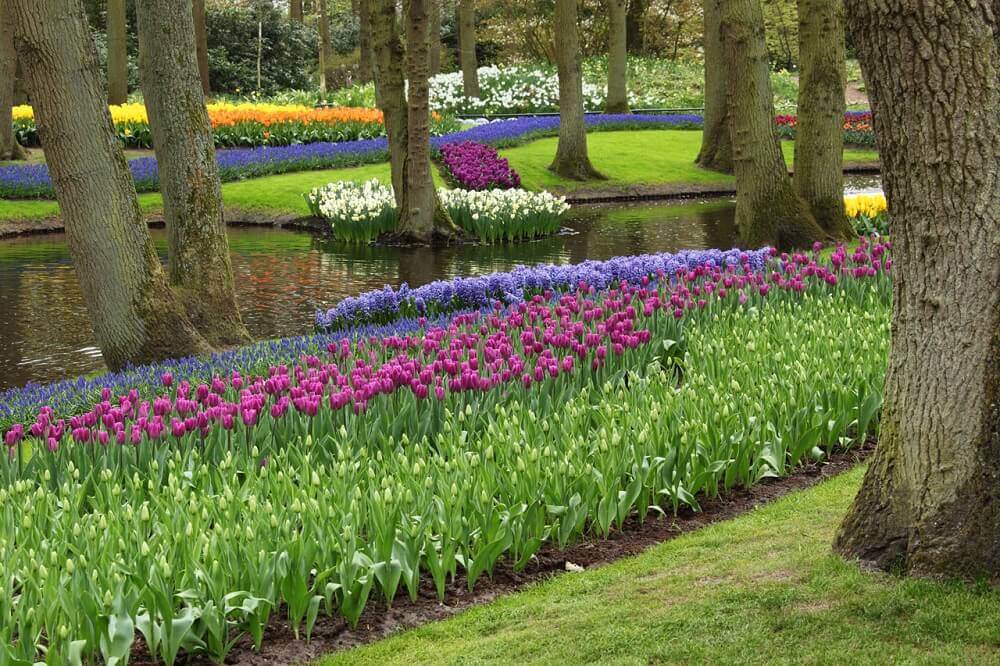 inspiração com flores coloridas para jardim 