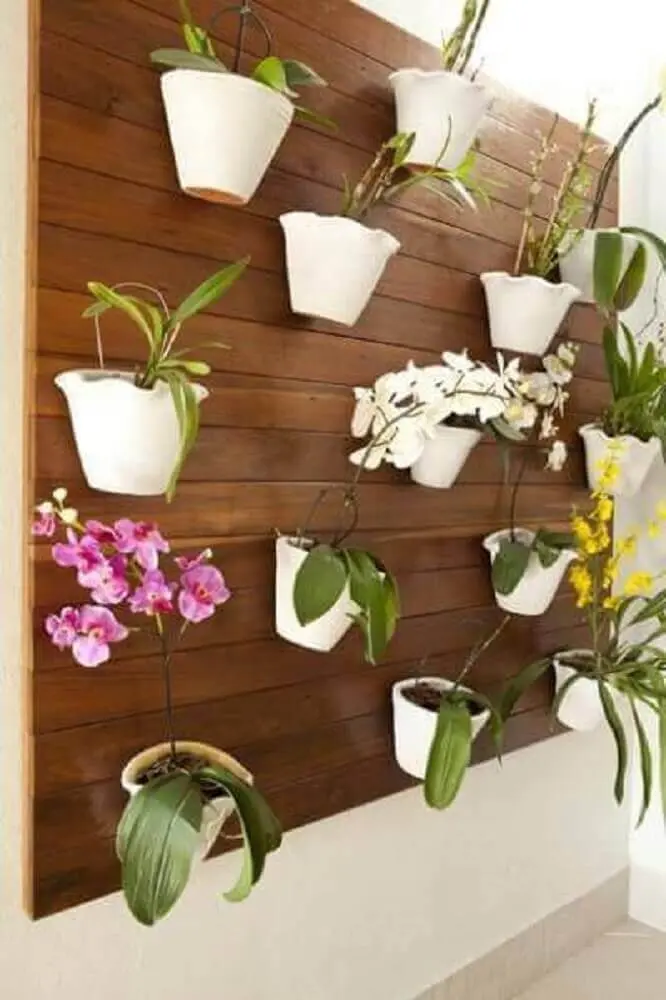 orquídeas para jardim vertical