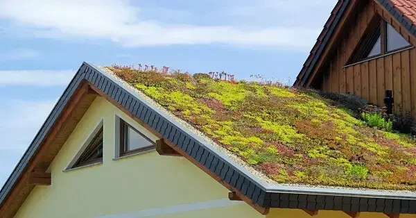 É importante estar atento as vantagens e desvantagens de ter um telhado verde