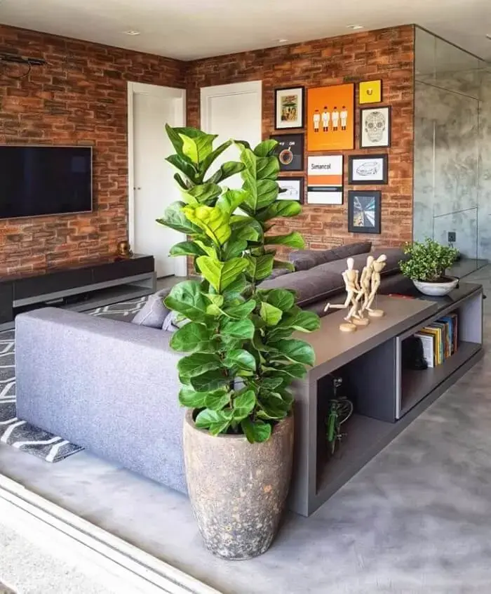 Vasos de plantas com aspecto envelhecido combina com decoração industrial