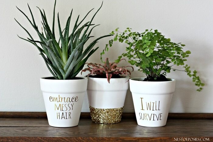 Vasos de plantas personalizados com frases