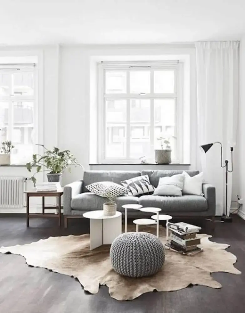 decoração minimalista com sofá cinza