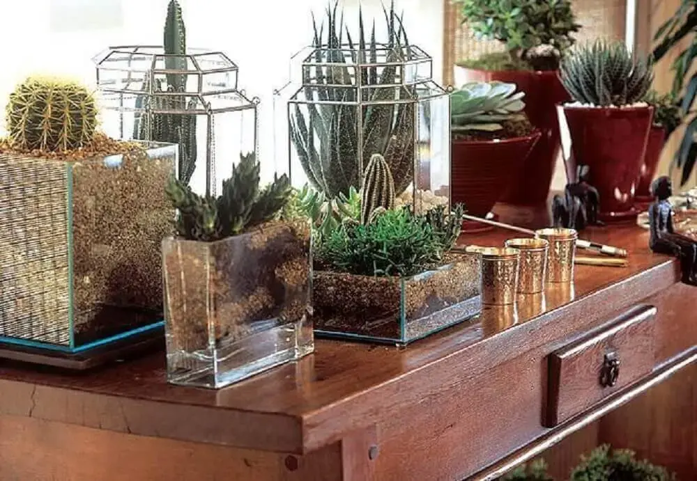decoração vasos de vidro para plantas
