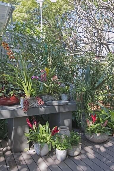 Como fazer um jardim com vasos Projeto de Joia Bergamo