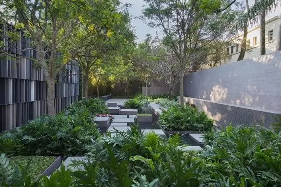 Como fazer um jardim com várias plantas Projeto de Casa Cor 2016