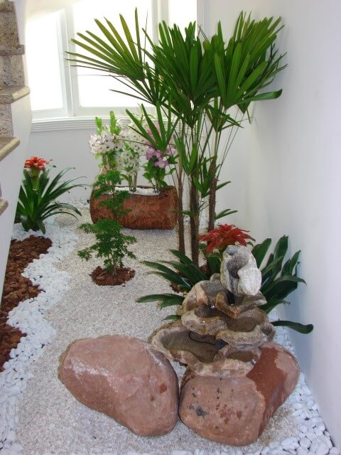Como fazer um jardim de inverno com pedras e plantas ornamentais Projeto de Daniela Oliveira