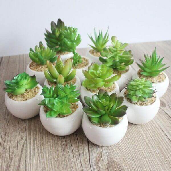 Mini vasos brancos com plantas suculentas