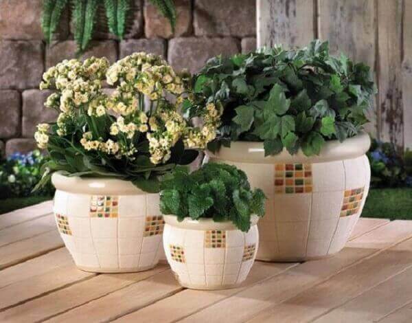 Vasos de plantas decorativos