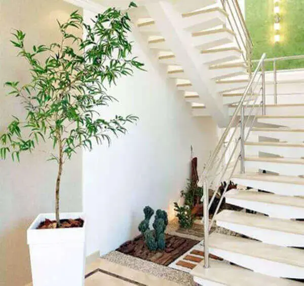 Bambu mossô ao lado da escada
