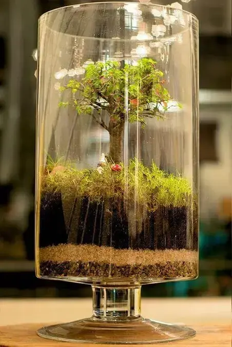 Terrário em vaso com bonsai