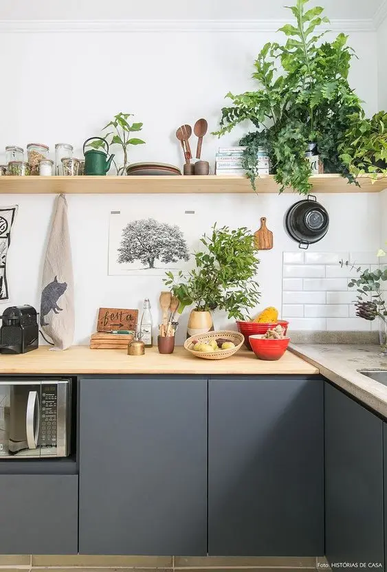 armário de cozinha - cozinha com muitas plantas