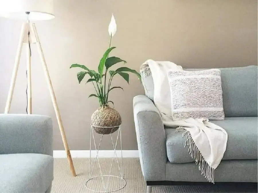 sala com decoração minimalista com lírio da paz Foto Living Gifts Brisbane