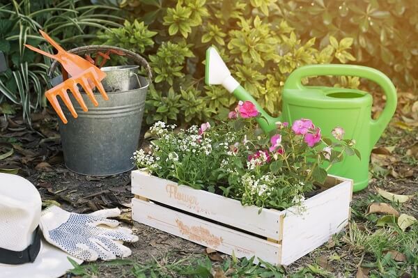 Como organizar as ferramentas de jardinagem certa