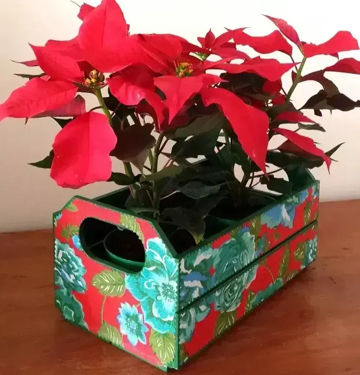 Decorate the wooden box that will accommodate the Christmas flower
