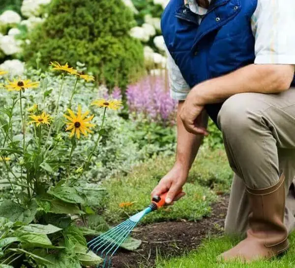 Jardinagem serviços