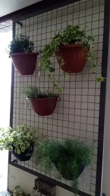 Treliça de ferro com jardim vertical Projeto de Casa Green Paisagismo