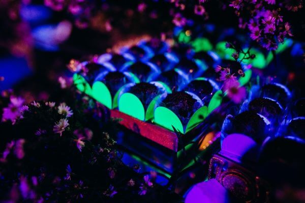 Forminhas de doces para festa neon