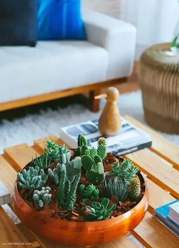 O mini jardim de suculentas complementa a decoração da sala de estar