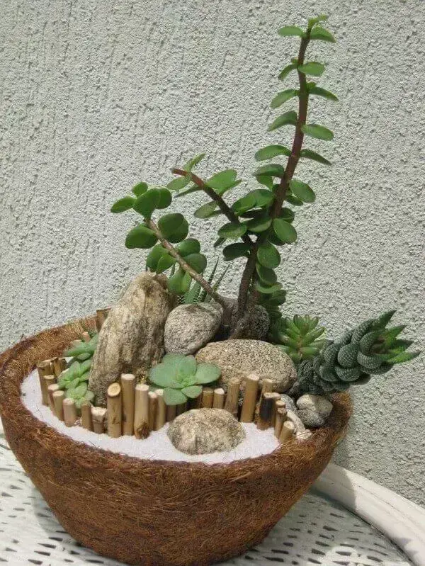 O mini jardim de suculentas foi montado em vaso de fibra de coco