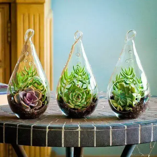 O mini jardim de suculentas é formado por 3 vasos de vidro
