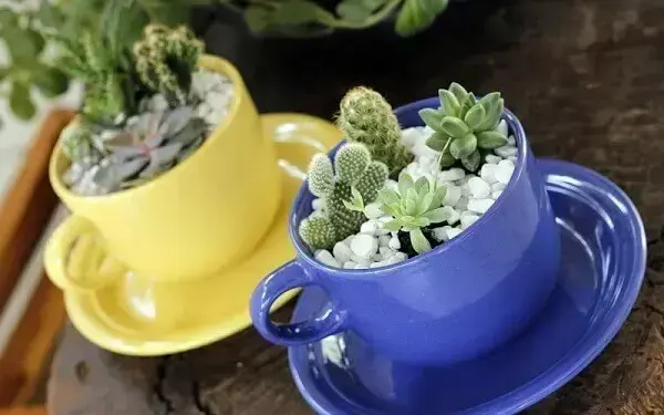 O mini jardim de suculentas é montado em xícaras