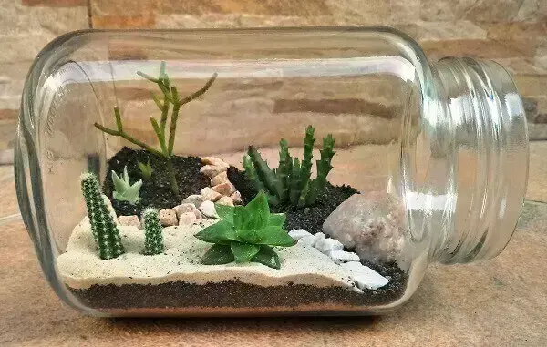 Os potes de vidro são recipientes criativos para montar um mini jardim de suculentas
