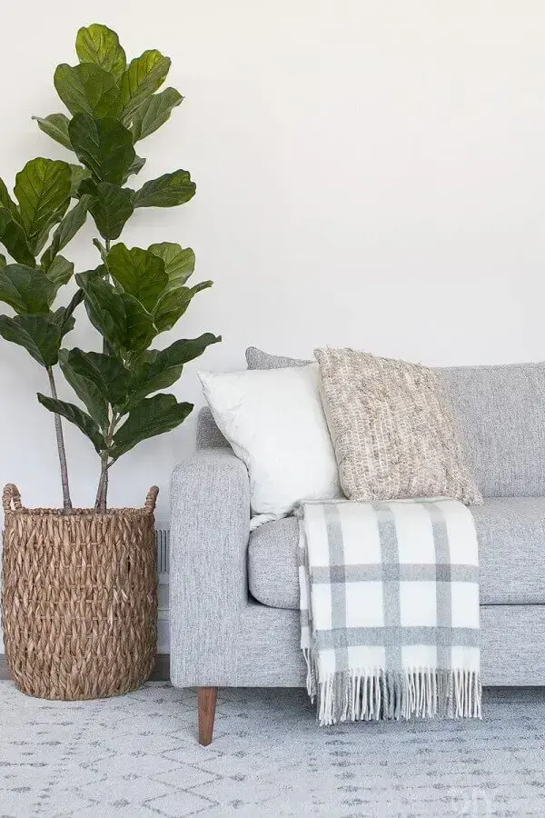 sala decorada com vaso de planta e manta para sofá cinza Foto Pinterest