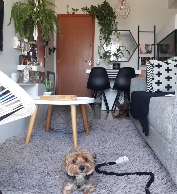 Sala de estar compacta com tapete felpudo cinza