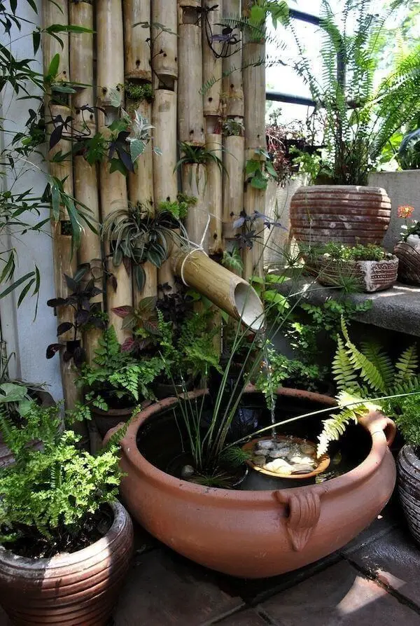 Tipos de plantas aquáticas para fontes no jardim